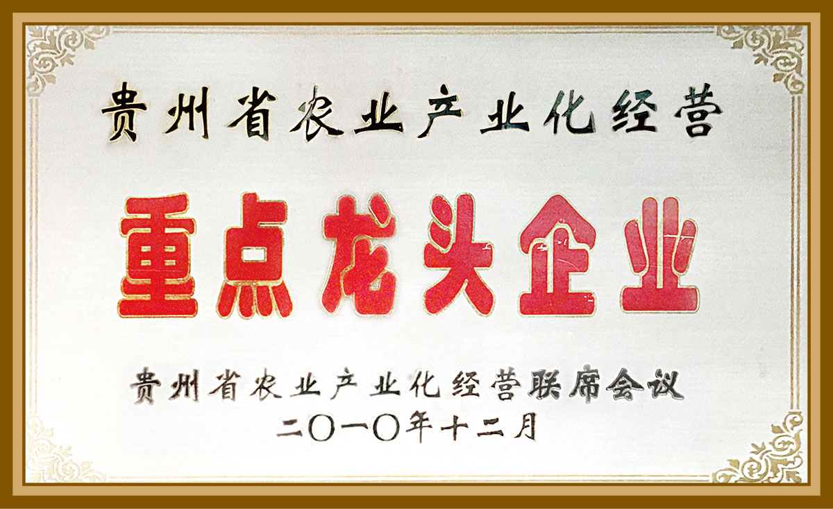 贵州省农业产业化经营重点企业2010.12